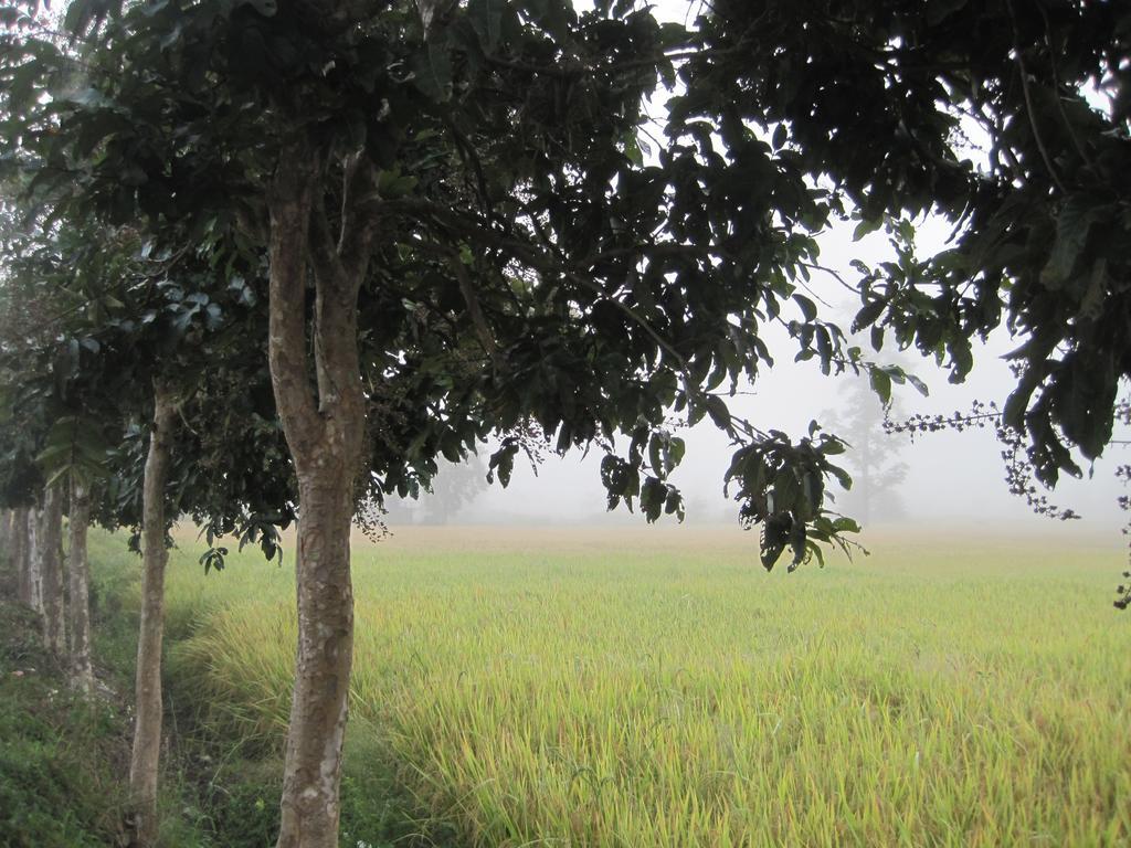 Le Mont Resort Pai Bagian luar foto